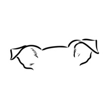 Simple Dog. Vector Illustration. Dog Ears Vector Sketch