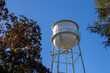 Buzzards roost on a municipal water tower rising against a clear blue sky between oak and magnolia trees in the Southeast,  USA.