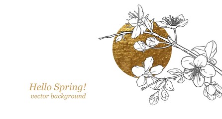 Wall Mural - Hand drawn branch of sakura with blooms, flowers, leaves, petals. Golden sircle, sun. Modern line art style.
