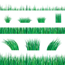 Spring Seamless Grass