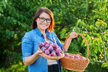 Wall Mural - Middle-aged woman with harvest of ripe plums in basket, looking at camera