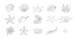 © Olga Rai - Set of seashells and starfishes. Continuous one line drawing of oyster mollusk with pearl corral and snail shells in simple linear style. Modern minimalist outline icon. Doodle Vector illustration