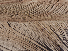 Canyon Rock Texture