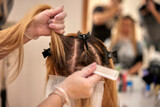 Fototapeta  - Frau bei Friseur - Haare werden geschnitten und gefärbt