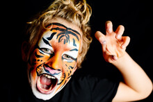A Growling Boy With His Face Painted In The Striking Colors Of A Tiger, Isolated On A Black Studio Background.