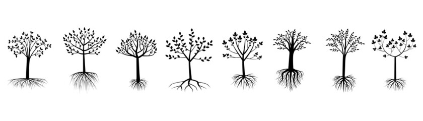 Tree with roots set. Silhouette effect. Decorative symbol. Logo art. Nature background. Vector illustration. Stock image. 