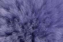 Close Up Fur Background. Color Of The Year 2022 Very Peri. 3d Rendering