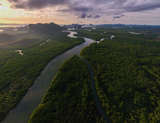 Wall Mural - 4k aerial drone footage flying over mangroves and lush rainforest in phangnga bay thailand the view 