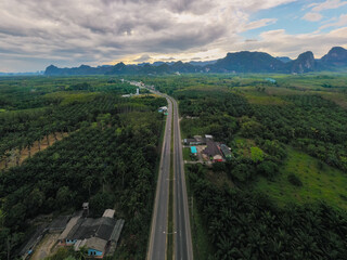 Wall Mural - 4k aerial drone footage flying over mangroves and lush rainforest in phangnga bay thailand the view 