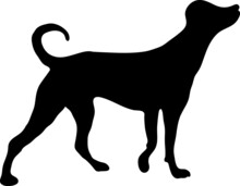 Dog Icon. Dog Sign On White Background..eps