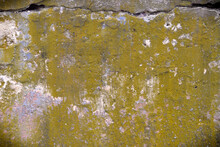 Texture Of Old Concrete Wall With Yellow Olive Stains For Background