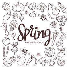 Seasonal Vegetables Background. Hand-drawn Spring Vegetable Composition Made Of Doodle Vector Icons, Isolated On White Background.