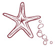 Starfish in hand drawn sketch style. Marine symbol