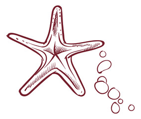 Wall Mural - Starfish in hand drawn sketch style. Marine symbol