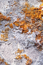 Natural Texture Of Old, Moldy Wild Wood Trunk Of Beige-grey Color With Dark-orange Spots On Tree Resembling Moon Surface Full Of Craters Located Deep In Forest.