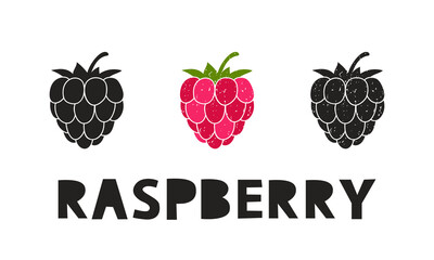 Fototapete - Raspberry, silhouette icons set with lettering. Imitation of stamp, print with scuffs. Simple black shape and color vector illustration. Hand drawn isolated elements on white background