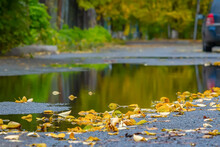 A Sad View Of Fallen Dry Yellow Leaves Of Trees Lying On Wet Asphalt On The Road Near A Puddle Against The Background Of An Autumn Courtyard Of A Street And A Parked Car