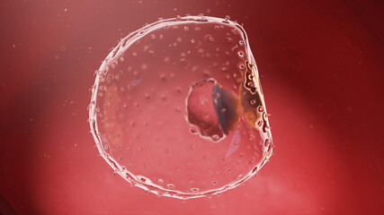 3d rendered illustration of a human embryo - week 2