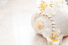 Background With Seashell And Flowers On Marble