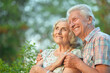 © aletia2011 - Beautiful senior couple hugging in the summer park