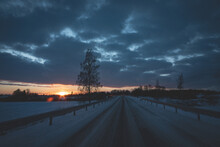 Winter Landscape, Lonely Birch Tree Near Snow Covered Slippery Road, Golden Sunset Evening