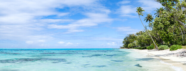 Wall Mural - tropical island panorama with turquoise sea