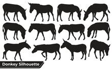 Collection Of Animal Donkey Silhouette Vector
