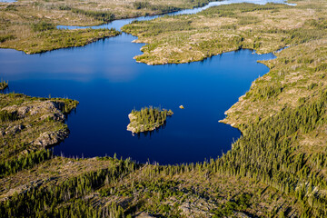 Poster - Near La Grande James Bay Boreal Forest and Tundra  Quebec Canada