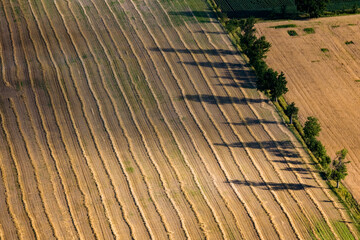 Wall Mural - Farming in Valleyfield Quebec Canada