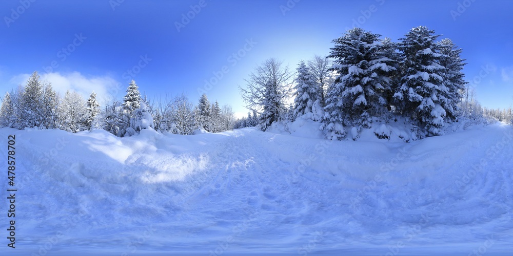 Forest in Winter Covered in snow HDRI Panorama Stock Photo | Adobe Stock