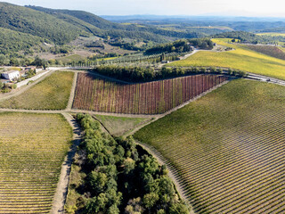 Wall Mural - aerial view of the chianti in Tuscany