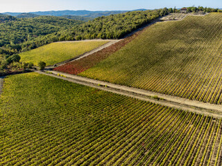 Wall Mural - aerial view of the chianti in Tuscany