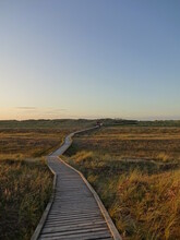 Walk Through The Marshland At Sunset
