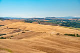 Fototapeta Na sufit - wheat fields in summer in Tuscany