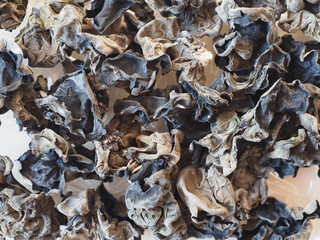 Wall Mural - Chinese black fungus (Auricularia auricula judae) mushroom veget