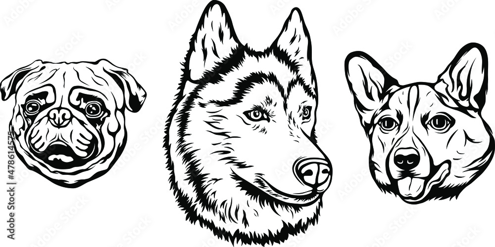 Hand drawn face of dogs. Black and white vector illustration mascot art ...