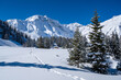 Trail of snowshoeers in snow-covered alpine landscape, Rauris, Salzburger Land, Austria