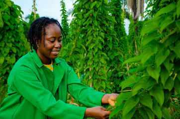 Wall Mural - close up of a beautiful african farmer smiling in the farm