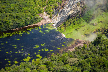Wall Mural - Jungle Region of Kaieteur Falls Kaieteur National Park Guyana