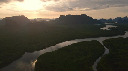 Wall Mural - 4k aerial drone footage flying over mangroves and lush rainforest in phangnga bay thailand the view 