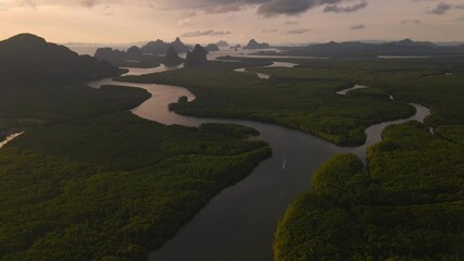Wall Mural - 4k aerial drone footage flying over mangroves and lush rainforest in phangnga bay thailand the view 