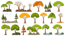 Set Of Four Seasons Trees On White Background