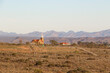 small town in the little karoo