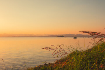 Wall Mural - On the shore of the lake in the late afternoon