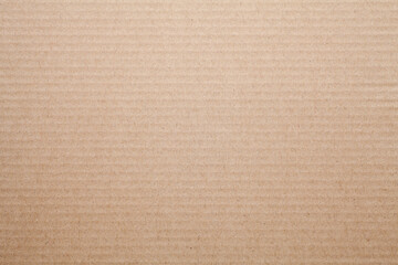 Wall Mural - Sheet of brown corrugated paper texture background