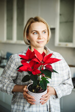 Thoughtful Woman Holding Poinsettia Plant At Home