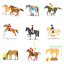 Equestrian Sports And Activities