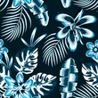 night background vector design illustration with bright tropical plant and leaves seamless pattern. fashionable texture design. Floral background. Exotic tropic. Summer themed design. nature wallpaper