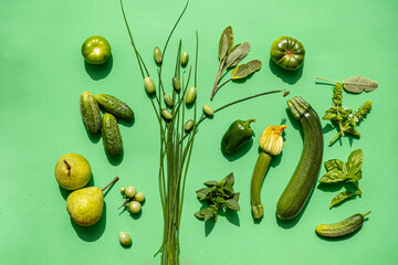 Sticker - green vegetables on the green background