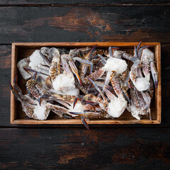 Wall Mural - Frozen raw blue swimming crab meat, in wooden box, on dark wooden background